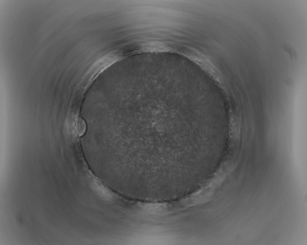 X0000113330889200910131146
