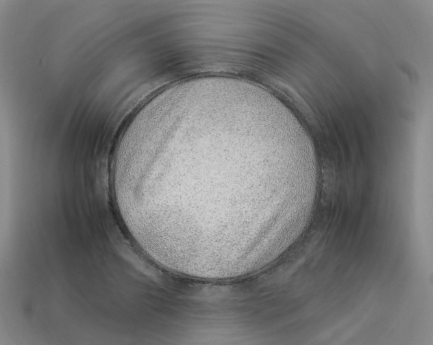 X0000113330890200910131146