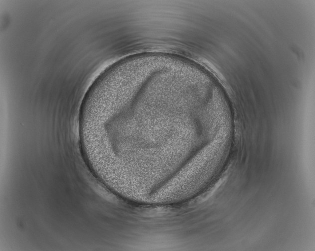 X0000113330891200910131146
