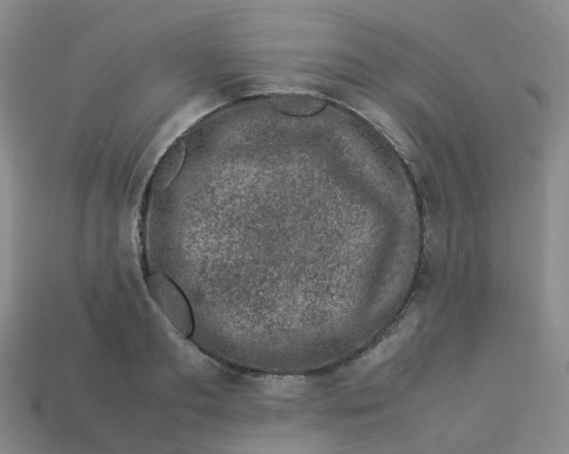 X0000113330893200910131146