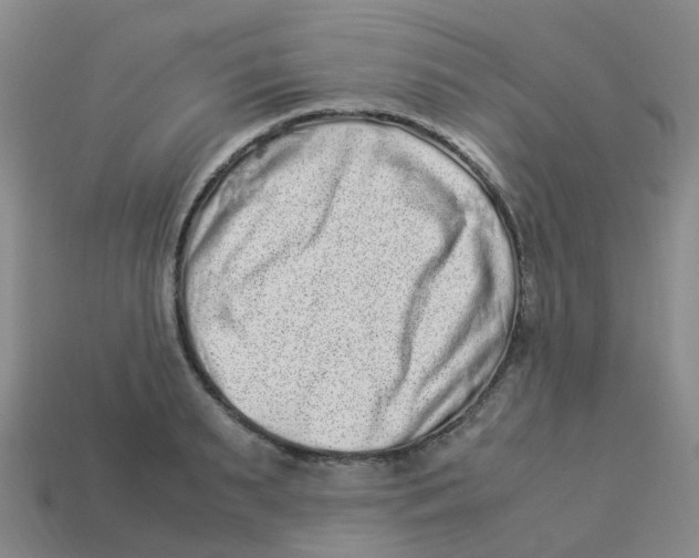 X0000113330895200910131146