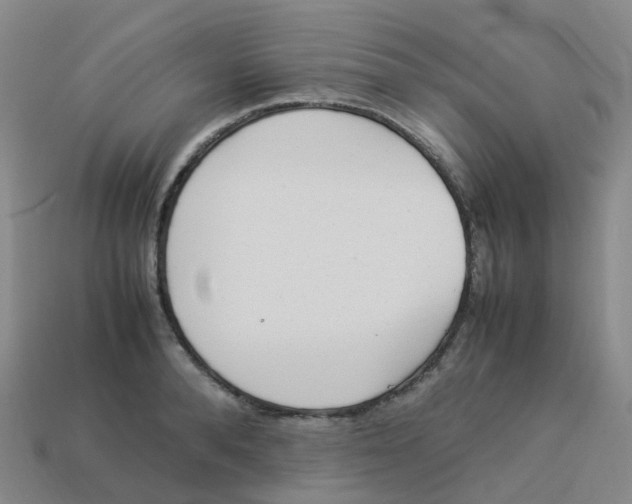 X0000113330896200910131146
