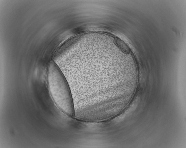 X0000113330897200910131146