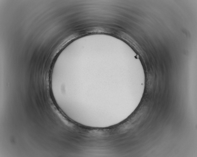 X0000113330898200910131146