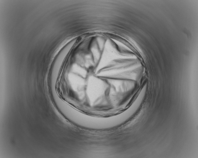 X0000113330901200910131146
