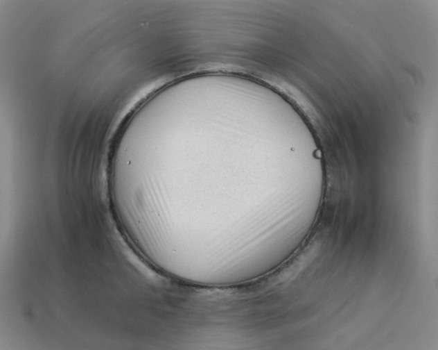 X0000113330902200910131146