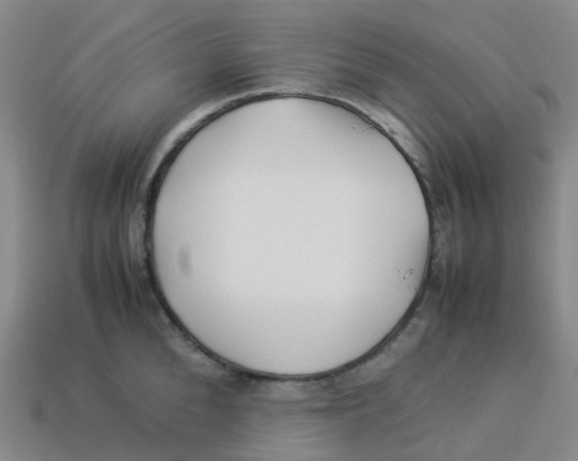X0000113330904200910131146
