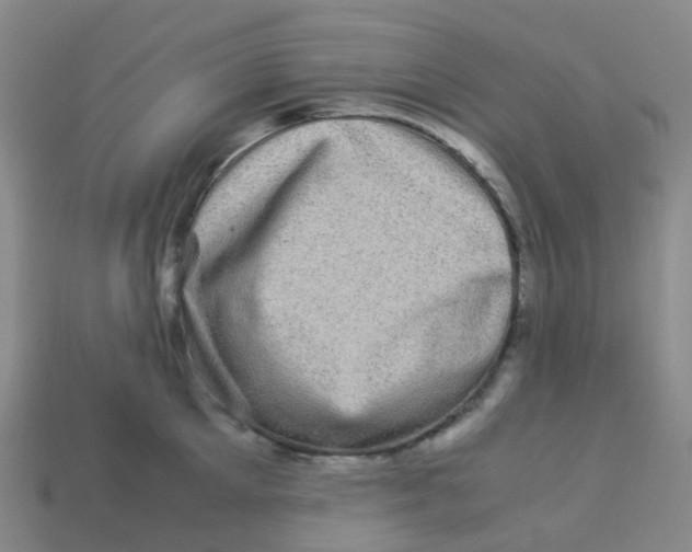 X0000113330905200910131146