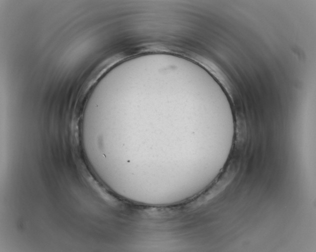 X0000113330906200910131146