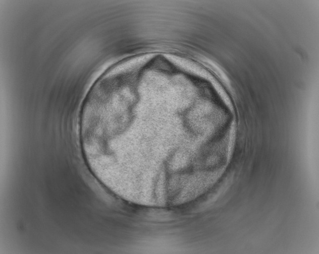 X0000113330907200910131146