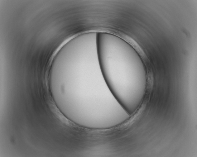 X0000113330908200910131146