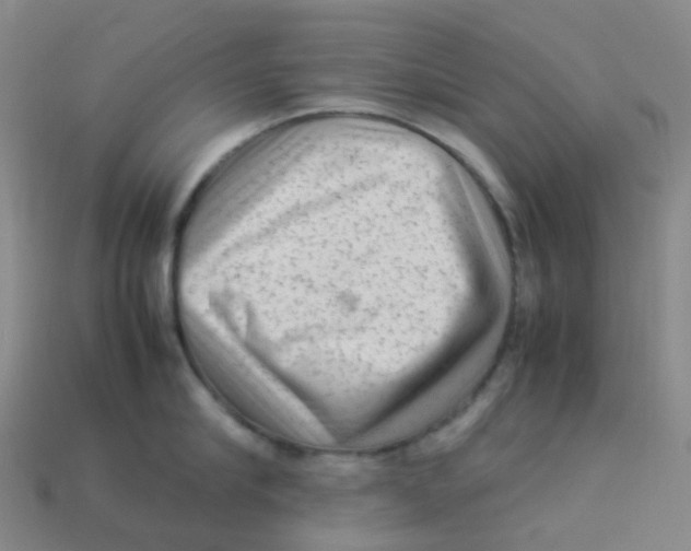 X0000113330910200910131146