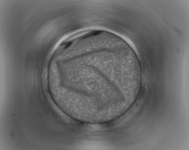 X0000113330911200910131146