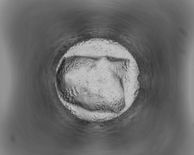 X0000113330913200910131145