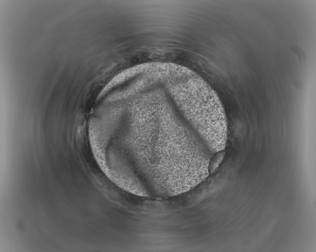 X0000113330914200910131145