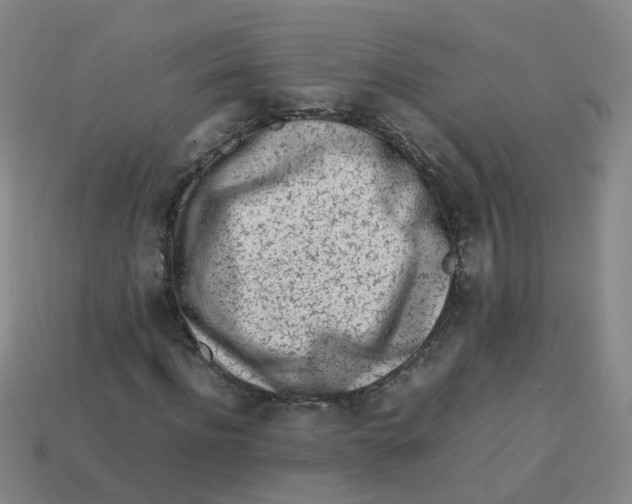 X0000113330916200910131145