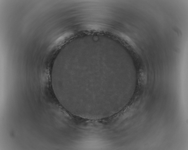 X0000113330918200910131145