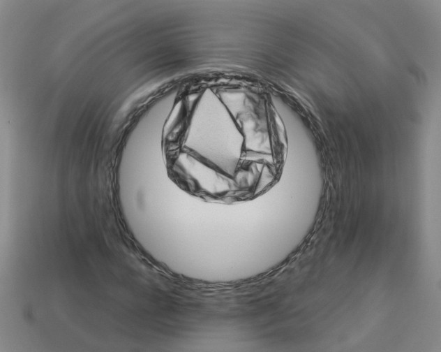 X0000113330920200910131145