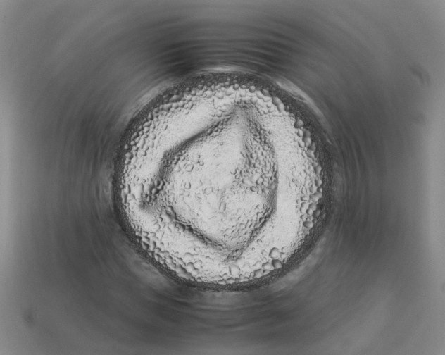 X0000113330921200910131145