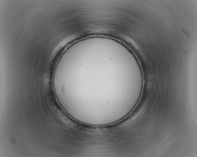 X0000113330922200910131145