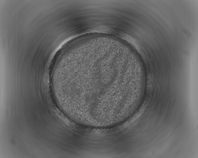 X0000113330923200910131145