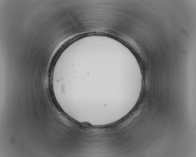 X0000113330924200910131145