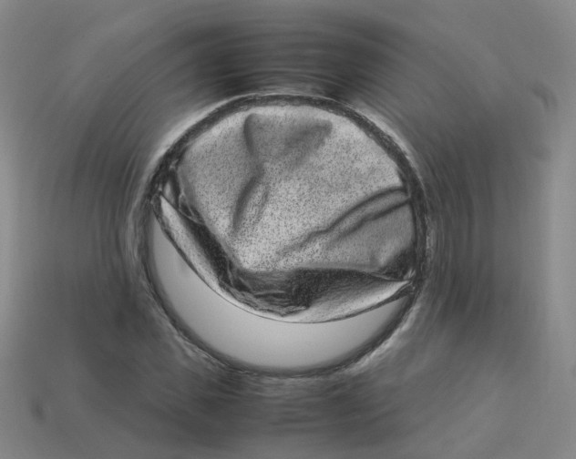 X0000113330925200910131145