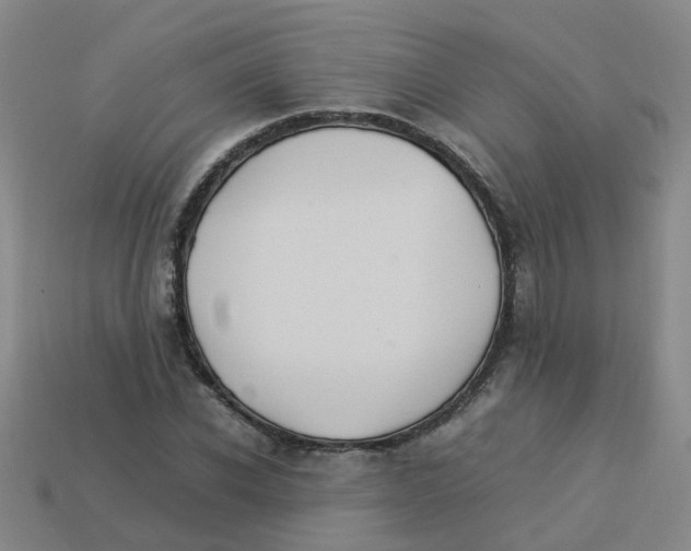 X0000113330926200910131145
