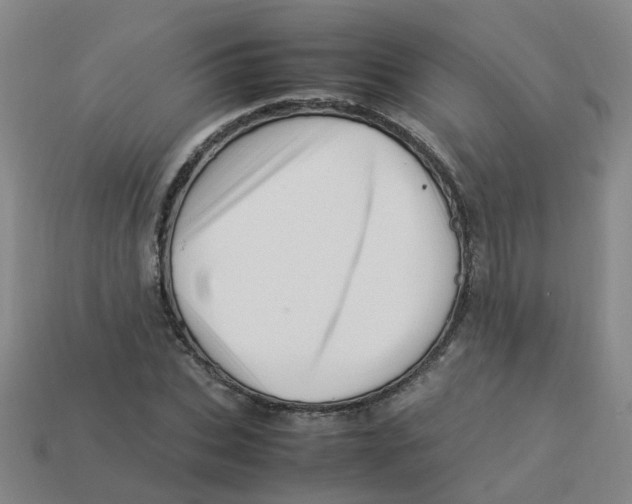 X0000113330927200910131145