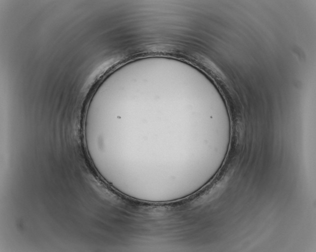 X0000113330930200910131145