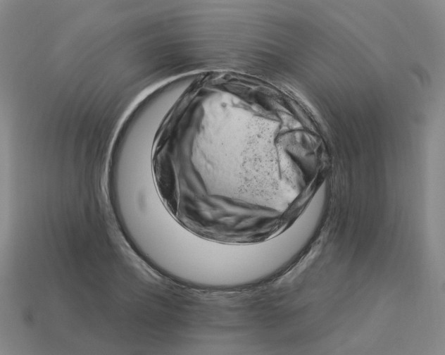 X0000113330932200910131145