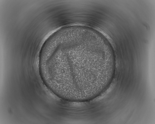 X0000113330933200910131145