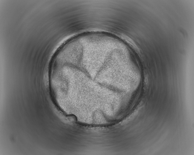 X0000113330934200910131145
