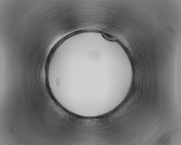 X0000113330936200910131145