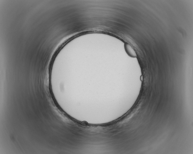 X0000113330940200910131146