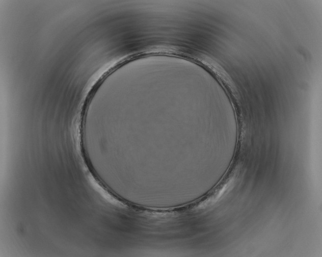 X0000113330941200910131146
