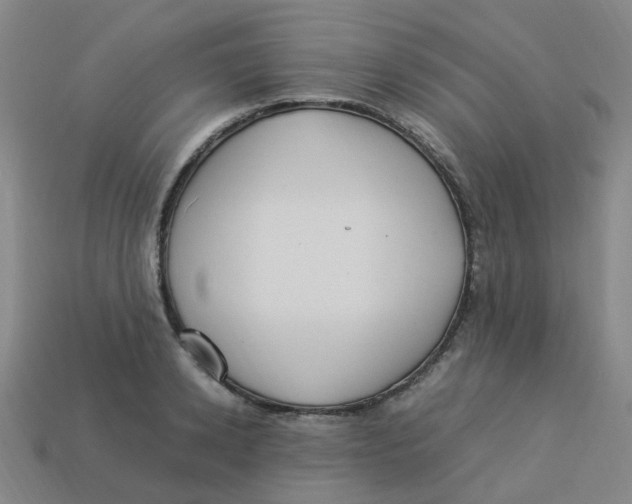 X0000113330942200910131146