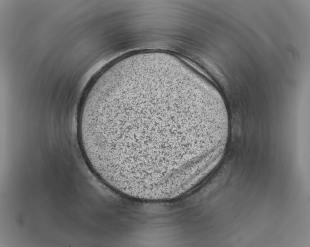 X0000113330944200910131146