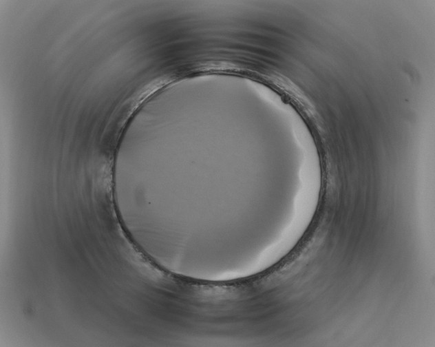 X0000113330945200910131146
