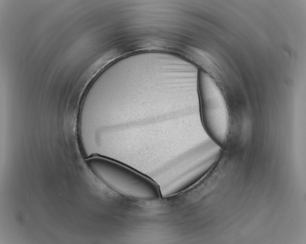X0000113330946200910131146