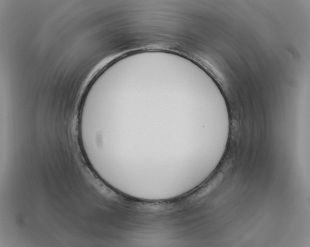 X0000113330948200910131146