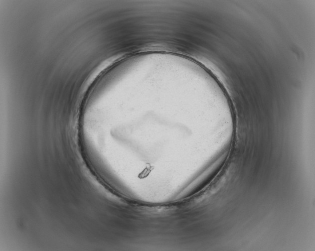 X0000113330949200910131146