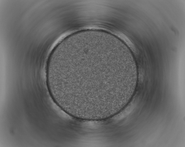 X0000113330950200910131146