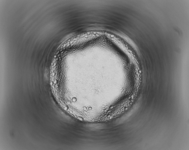 X0000113330953200910131146