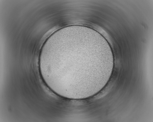 X0000113330954200910131146