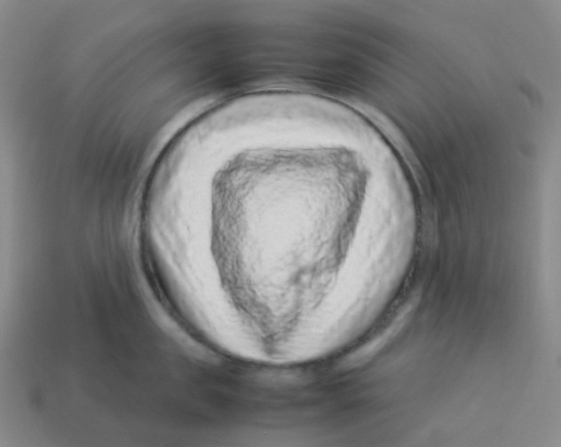 X0000113330957200910131146