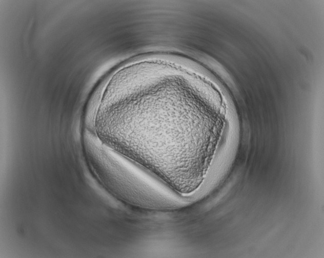 X0000113330958200910131146