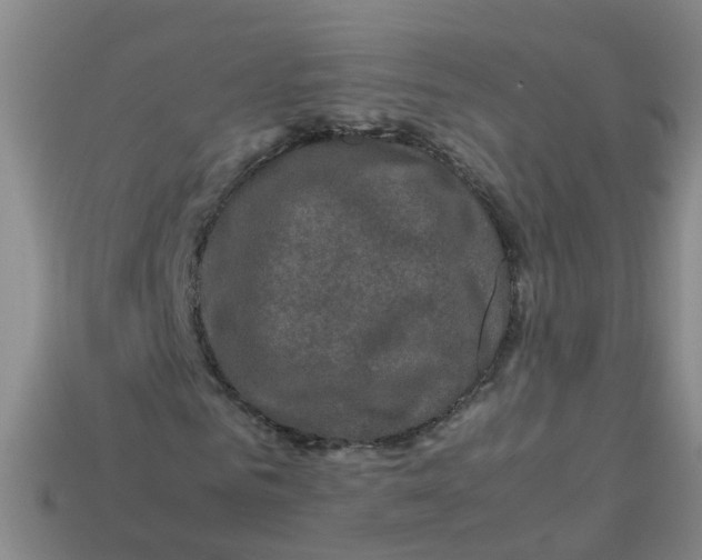 X0000113330961200910131145