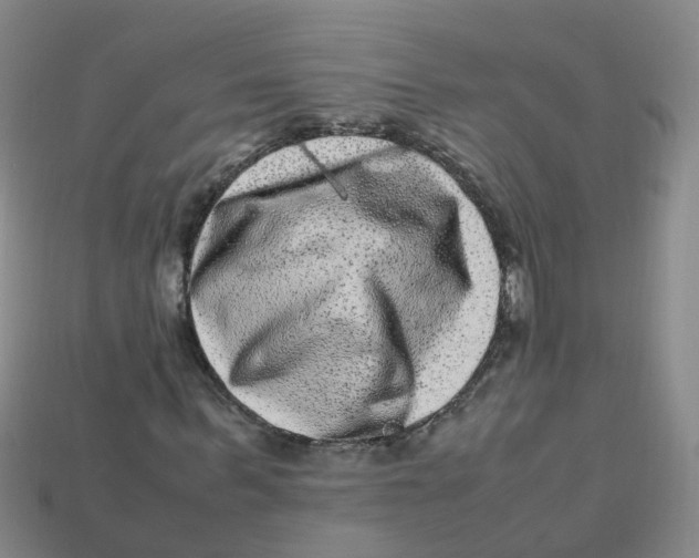 X0000113330963200910131145