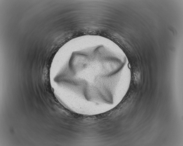 X0000113330964200910131145